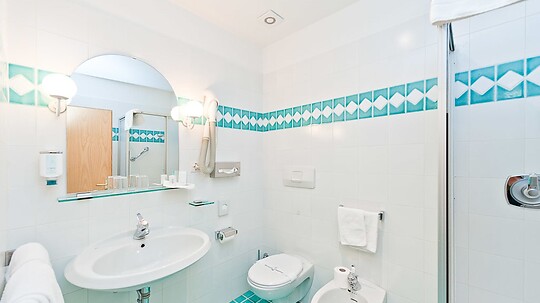 DOUBLE ROOM ATTIC