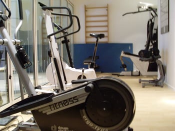Palestra