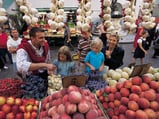 Piazza erbe con il mercato della frutta e verdura