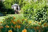 Garten & Park