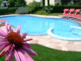Garden & parc